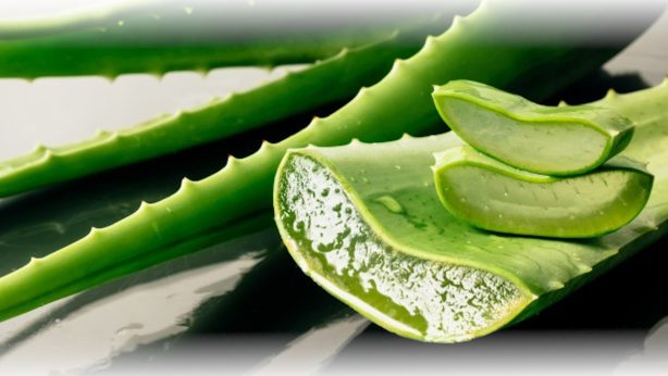 7 Aloe gél tulajdonságai – Ezt tudnod kell!